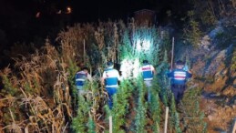 Mersin’de uyuşturucu yetiştirenlere operasyon: 3 gözaltı