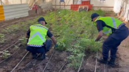 Mersin’de uyuşturucu serası kuran şüpheli yakalandı