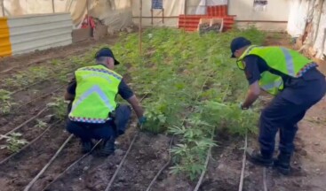 Mersin’de uyuşturucu serası kuran şüpheli yakalandı
