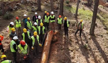 Mersin Orman Bölge Müdürlüğünce üretim tatbikatı yapıldı