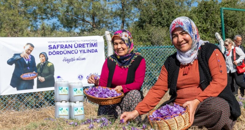Başkan Özyiğit, “Türkiye’nin en çok safran üreten ilçelerinden biri olabiliriz