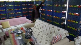 Yetiştirdiği ürünle gurur duyan üretici, 3 ton domatesi evine taşıdı