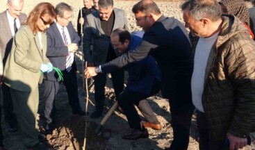 Birinci derece tarım arazisi olmayan alanlarda ’kestane’ yetişecek