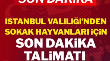 İstanbul Valiliği’nden sokak hayvanları için son dakika talimatı!