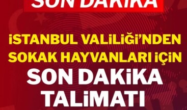 İstanbul Valiliği’nden sokak hayvanları için son dakika talimatı!