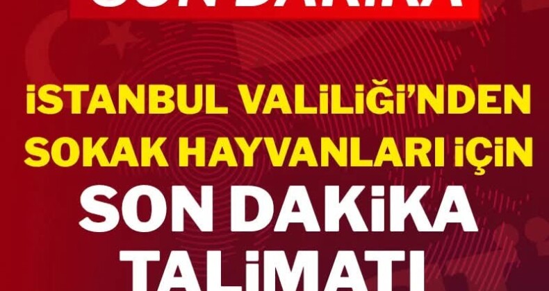 İstanbul Valiliği’nden sokak hayvanları için son dakika talimatı!