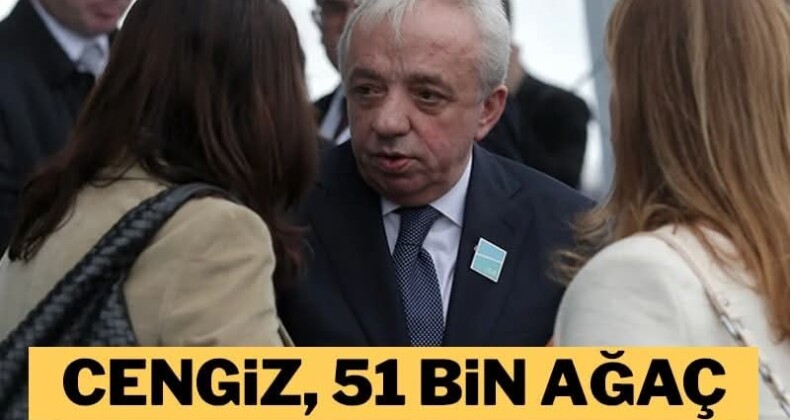 Cengiz, Boyabat’ta da 51 bin ağaç kesmeye hazırlanıyor!