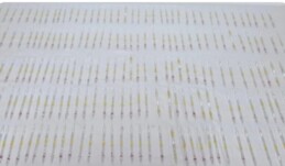 Değeri 60 milyon lira! Burdur’da 201 tüp ele geçirildi.!