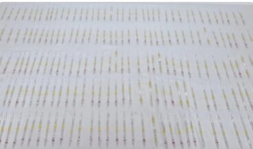 Değeri 60 milyon lira! Burdur’da 201 tüp ele geçirildi.!