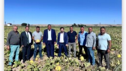 CHP Niğde Milletvekili Ömer Fethi Gürer, kabak çekirdeği üreticileriyle tarlada bir araya gelerek, üreticinin sorunlarını dinledi.