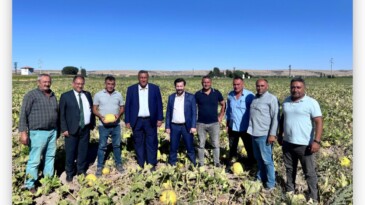 CHP Niğde Milletvekili Ömer Fethi Gürer, kabak çekirdeği üreticileriyle tarlada bir araya gelerek, üreticinin sorunlarını dinledi.
