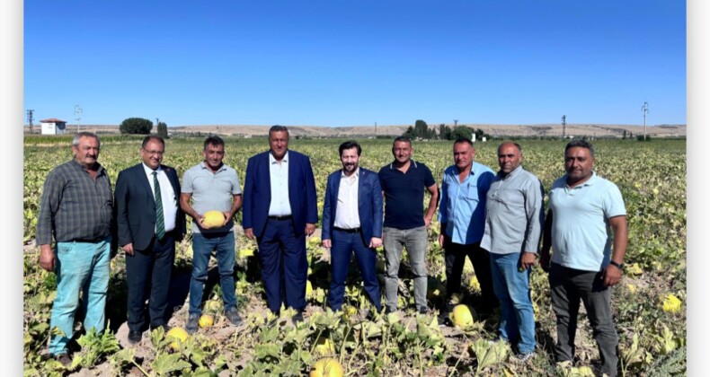 CHP Niğde Milletvekili Ömer Fethi Gürer, kabak çekirdeği üreticileriyle tarlada bir araya gelerek, üreticinin sorunlarını dinledi.