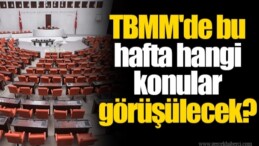 TBMM’de bu hafta… Merkez Bankası Başkanı, Plan ve Bütçe Komisyonu’nda bilgilendirme yapacak