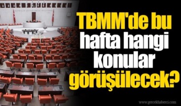 TBMM’de bu hafta… Merkez Bankası Başkanı, Plan ve Bütçe Komisyonu’nda bilgilendirme yapacak