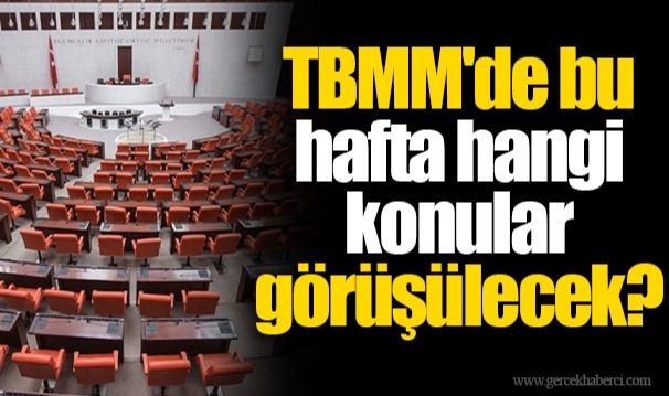 TBMM’de bu hafta… Merkez Bankası Başkanı, Plan ve Bütçe Komisyonu’nda bilgilendirme yapacak