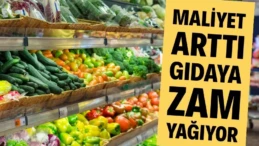 Tarımsal girdi fiyatlarındaki artışın sürmesi, gıda fiyatlarındaki yükselişi tetikledi. 2025’te girdi fiyatları yüzde 33.15 artarken bu durum, gıda fiyatlarının da düşmeyeceğine işaret etti.