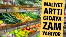 Tarımsal girdi fiyatlarındaki artışın sürmesi, gıda fiyatlarındaki yükselişi tetikledi. 2025’te girdi fiyatları yüzde 33.15 artarken bu durum, gıda fiyatlarının da düşmeyeceğine işaret etti.