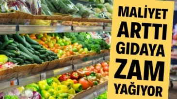 Tarımsal girdi fiyatlarındaki artışın sürmesi, gıda fiyatlarındaki yükselişi tetikledi. 2025’te girdi fiyatları yüzde 33.15 artarken bu durum, gıda fiyatlarının da düşmeyeceğine işaret etti.