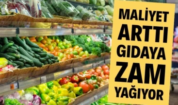 Tarımsal girdi fiyatlarındaki artışın sürmesi, gıda fiyatlarındaki yükselişi tetikledi. 2025’te girdi fiyatları yüzde 33.15 artarken bu durum, gıda fiyatlarının da düşmeyeceğine işaret etti.